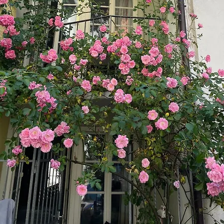 Ferienapartment Eva - Gemuetlich Und Zentral Auf Der Historischen Insel * Lindau (Bodensee)
